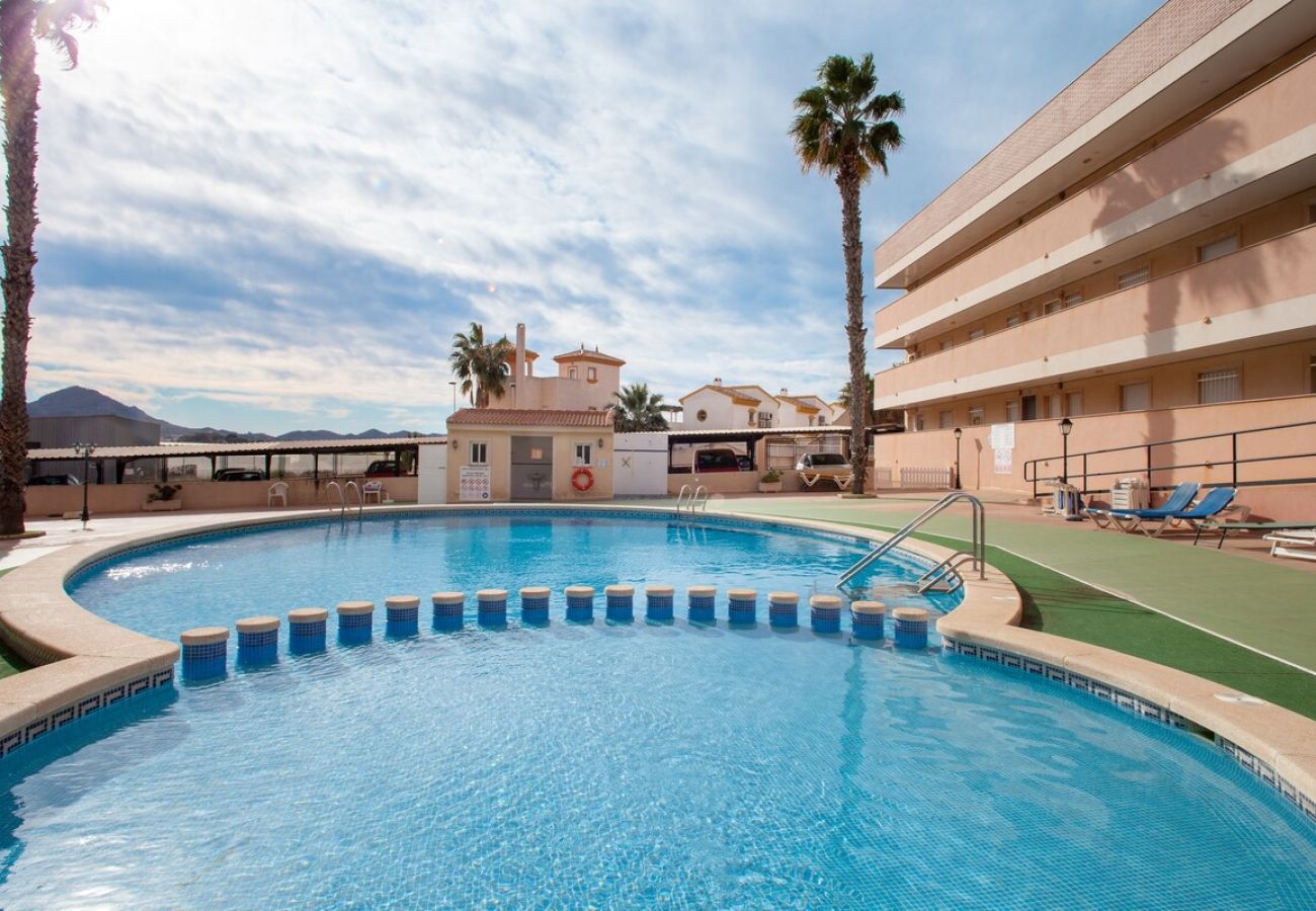 PISCINA PISCINA COMUNITARIA