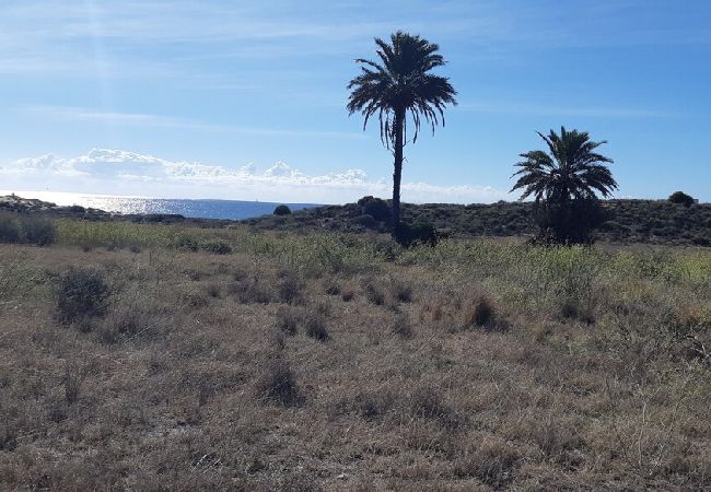 Casa rural en Cartagena - Alojamiento vacacional Calblanque junto Cabo de Pa Casa rural en Cartagena - Alojamiento vacacional Calblanque junto Cabo de Pa