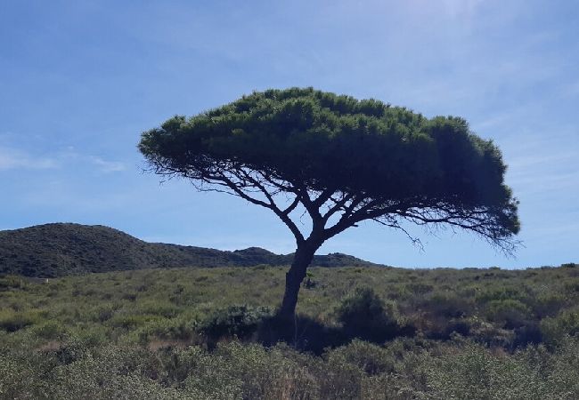 Casa rural en Cartagena - Alojamiento vacacional Calblanque junto Cabo de Pa Casa rural en Cartagena - Alojamiento vacacional Calblanque junto Cabo de Pa