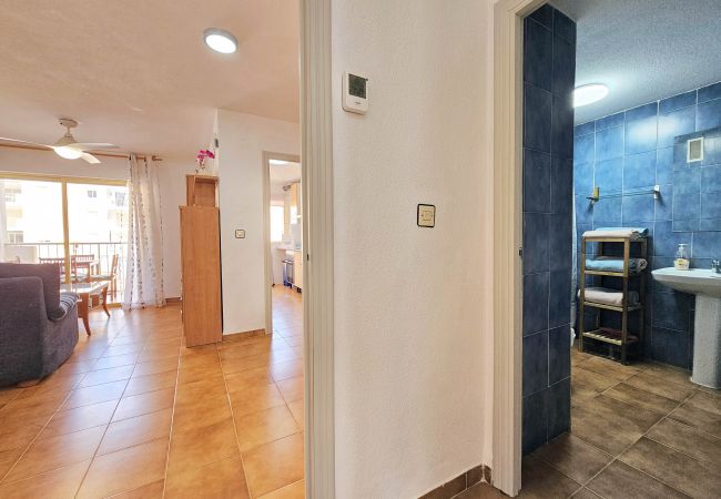 Apartamento en La Manga del Mar Menor - Apartamento en La Manga El Oasis Apartamento en La Manga del Mar Menor - Apartamento en La Manga El Oasis