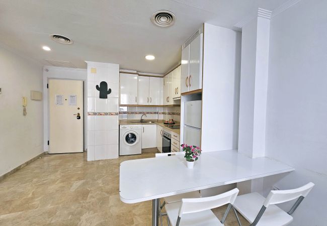 Apartamento en Cartagena - APARTAMENTO EDIFICIO ALBA 4A Apartamento en Cartagena - APARTAMENTO EDIFICIO ALBA 4A