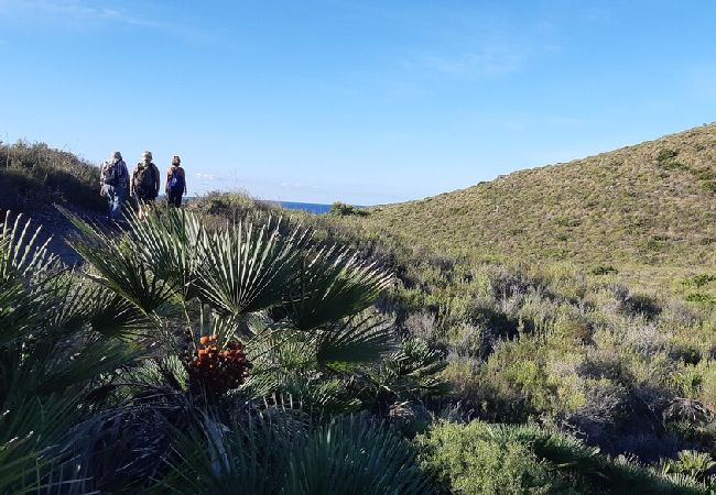 Cottage in Cartagena - Alojamiento vacacional Calblanque junto Cabo de Pa Cottage in Cartagena - Alojamiento vacacional Calblanque junto Cabo de Pa