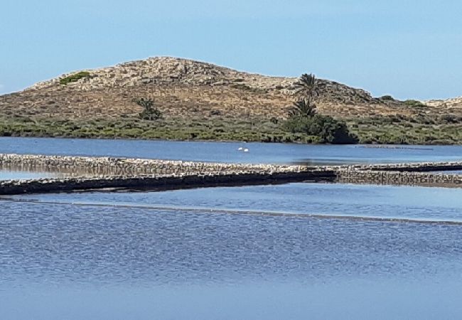 Cottage in Cartagena - Alojamiento vacacional Calblanque junto Cabo de Pa Cottage in Cartagena - Alojamiento vacacional Calblanque junto Cabo de Pa
