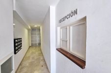 Apartment in Cartagena - Apartamentos Nuevo Edificio Alba Cartagena Centro 